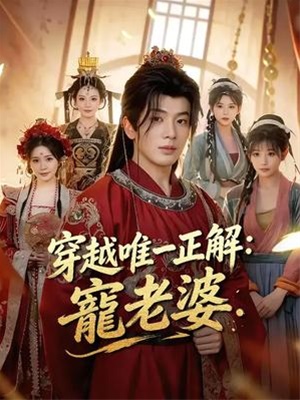 穿越唯一正解：寵老婆