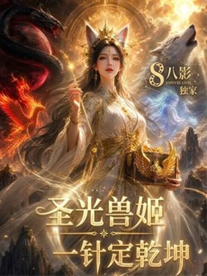 聖光獸姬：一針定乾坤